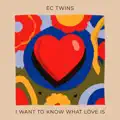 I Want To Know What Love Is