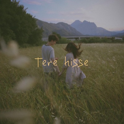 Tere Hisse - Single