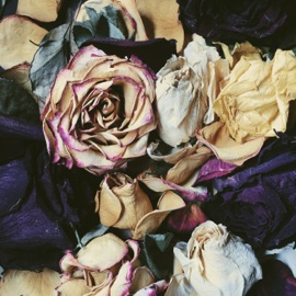 Одному Zimavsegda