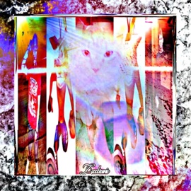 Zaadaroonie (feat. leo37, Seth E-Bee & November Day) DeadLoop