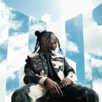 Miroir, part. II - Curtis Kane