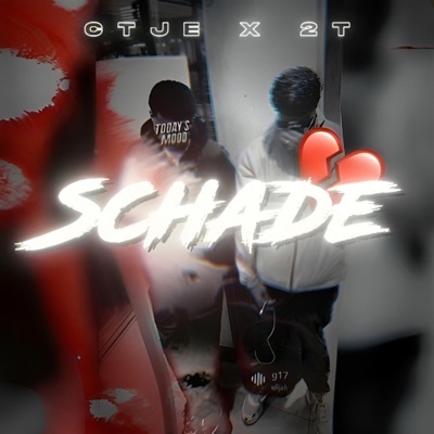 Schade (feat. 2T) - Single
