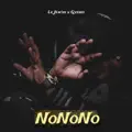 NoNoNo