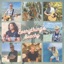 Everything's Beachy (feat. Bryton Stoll, Aubrey Wollett, Donny Brewer, Jonas Lorence, Sunny Jim, Bryan Ruby & Alan Jax Bowers) - Single