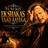 Zindagi Ke Dard Ko Sahoge Tum Ko Ek Shakas Yaad Aayega