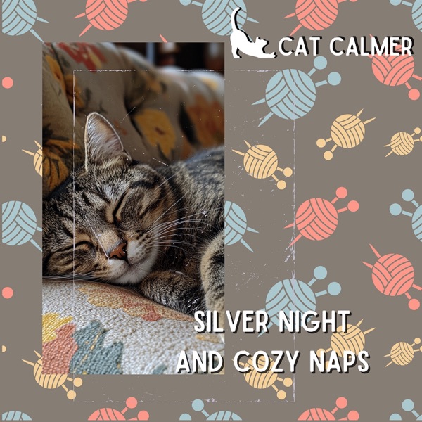 Silver Night and Cozy Naps