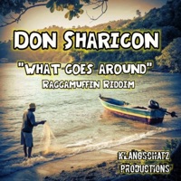 What Goes Around - Single - DJ Michael Berth & Don Sharicon