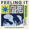 Maga, Sean Doron, Tim Engelhardt & Scenarios - Feeling It