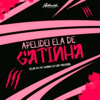 Apelidei Ela de Gatinha (feat. Silva MC & MC Denny) - Single - DJ DR7 ORIGINAL