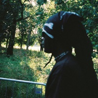 Nails Did - EP - theOGM