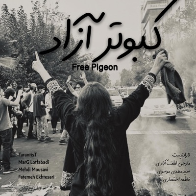 Kabootar e Azad (Free Pigeon) (feat. MarG Lotfabadi, Mehdi Mousavi & Fatemeh Ekhtesari) - Single