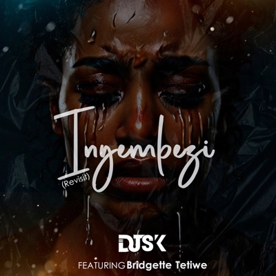 Inyembezi(Revisit) [feat. Bridgette Tetiwe] - Single