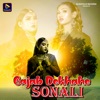 Gajab Dekhahe Sonali - Single