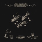 Sugarfish - Single
