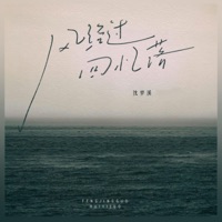 风经过 回忆落 (倍速版) - Single - 沈梦溪