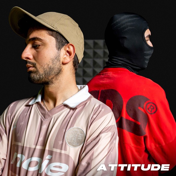 Attitude