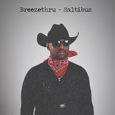 Saltibus (feat. Zuyuani) - Single