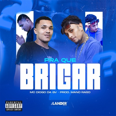 Pra Que Brigar - Single