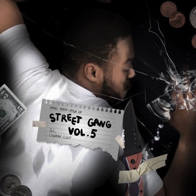 STREET GANG, Vol. 5