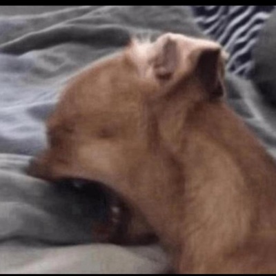 You dont miss me (feat. FINESSEDMYSUICIDE) - Single