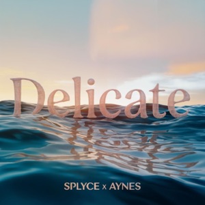 Delicate - Single