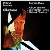 Afunukuthula (Terry Grant Remix) artwork