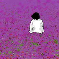 Amapolas - Single