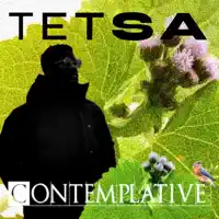 Three Days — Tetsa
