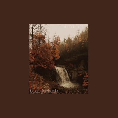Beautiful Trash. - Single