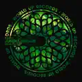 jungle boogie
