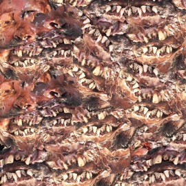 Brainsplitta CONJURE