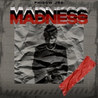Madness - Single - Phigow Jrd