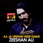 Aa ja Veeran Veer Ghazi - Single