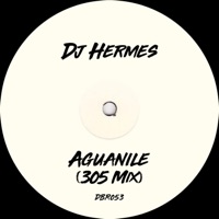 Aguanile - Single - Dj Hermes