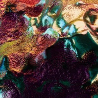 Hazard (feat. Shems Bendali) - Single - Erkalium