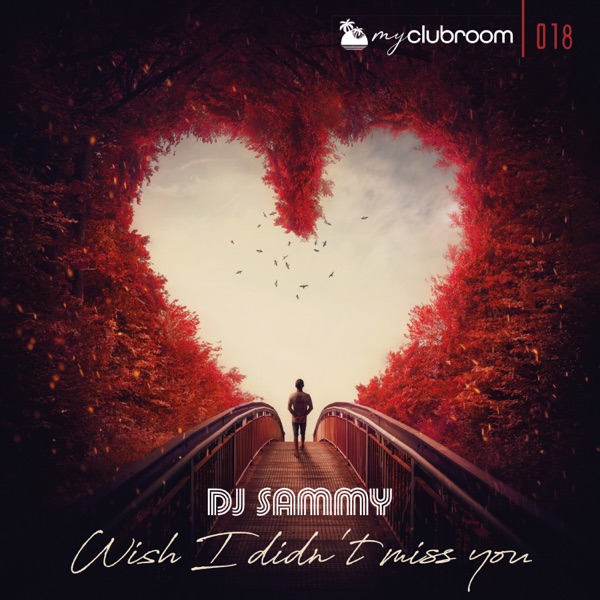 Wish I Didn't Miss You - Single