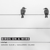 Birds On A Wire - Gerard Kleijn & Guillermo Celano