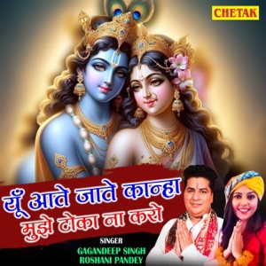 Yu Aate Jate Kanha Mujhe Toka Na Karo
