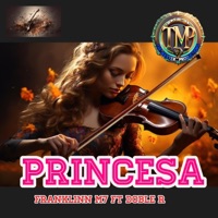 PRINCESA (feat. Doble R) - Single - Franklinn M7