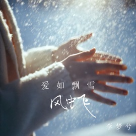 爱如飘雪风中飞 (她灌了你多少杯) 李梦兮