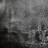 If/When - Single - Broken_Canyon