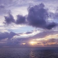 life.wavs - Single - Sleepyiki