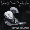 Small Town Troubadour - Single