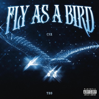 FLY AS A BIRD - Single