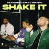 Shake It - Single