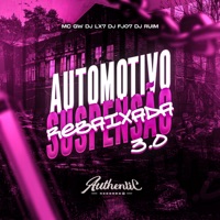 Automotivo Suspensão Rebaixada 3.0 (feat. MC GW, Dj Fj07 & DJ RUIM) - Single - DJ LX7