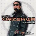 FELIX WAZEKWA