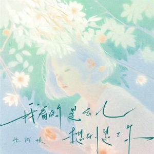 我看着云儿想的是你 - Single
