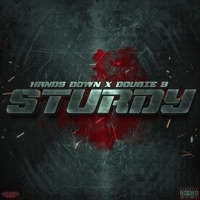 Sturdy (feat. Dougie B) - Single - Hands Down