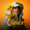 Quimica